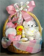 Bringing Up Baby Gift Basket
