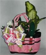 California Tote N Tools Gift Basket with Live Plants