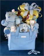 Elegant Baby Travel Bag